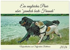 Cover Ein ungleiches Paar aber 