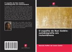 O espelho de Nan Goldin: autobiografia em instantâneos