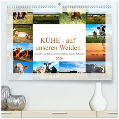 Kühe - auf unseren Weiden (hochwertiger Premium Wandkalender 2026 DIN A2 quer), Kunstdruck in Hochglanz