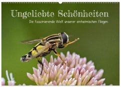Cover Ungeliebte Schönheiten - die faszinierende Welt unserer heimischen Fliegen (Wandkalender 2026 DIN A2 quer), CALVENDO Monatskalender
