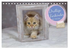 Drollige Tierkinder Mit Sprüchen (Tischkalender 2026 DIN A5 quer), CALVENDO Monatskalender