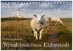 Cover Wunderschönes Eiderstedt (Tischkalender 2026 DIN A5 quer), CALVENDO Monatskalender