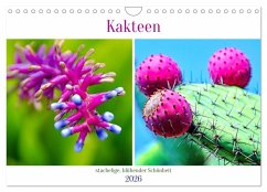 Kakteen - stachelige, blühende Schönheiten (Wandkalender 2026 DIN A4 quer), CALVENDO Monatskalender Kakteen - stachelige, blühende Schönheiten (Wandkalender 2026 DIN A4 quer), CALVENDO Monatskalender