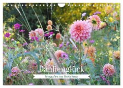 Cover Dahlienglück (Wandkalender 2026 DIN A4 quer), CALVENDO Monatskalender