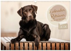 Labrador Retriever - Vielfalt auf Vier Pfoten (Wandkalender 2026 DIN A3 quer), CALVENDO Monatskalender
