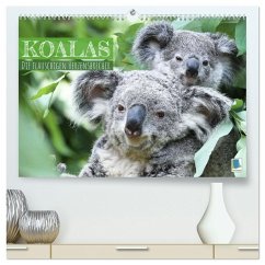 Cover Koalas: die flauschigen Herzensbrecher (hochwertiger Premium Wandkalender 2026 DIN A2 quer), Kunstdruck in Hochglanz