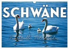 Cover Schwäne - Prachtvolle Federkleider. (Wandkalender 2026 DIN A3 quer), CALVENDO Monatskalender
