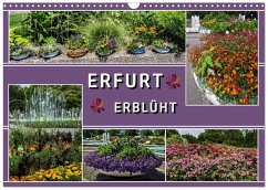 Erfurt erblüht (Wandkalender 2026 DIN A3 quer), CALVENDO Monatskalender Erfurt erblüht (Wandkalender 2026 DIN A3 quer), CALVENDO Monatskalender