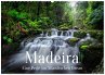 Madeira - Eine Perle im Atlantischen... - Bild 1