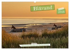 Blåvand - Dänemarks Paradies am Nordseestrand (Wandkalender 2026 DIN A2 quer), CALVENDO Monatskalender Blåvand - Dänemarks Paradies am Nordseestrand (Wandkalender 2026 DIN A2 quer), CALVENDO Monatskalender