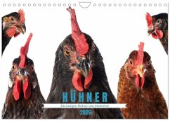 Die lustigen Hühner aus Mosenhof (Wandkalender 2026 DIN A4 quer), CALVENDO Monatskalender
