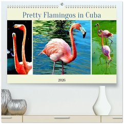 Cover Pretty Flamingos in Cuba (hochwertiger Premium Wandkalender 2026 DIN A2 quer), Kunstdruck in Hochglanz