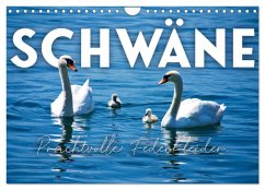 Cover Schwäne - Prachtvolle Federkleider. (Wandkalender 2026 DIN A4 quer), CALVENDO Monatskalender