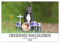Geheimes Waldleben (Wandkalender 2026 DIN A2 quer), CALVENDO Monatskalender