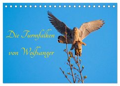 Cover Die Turmfalken von Wolfsanger (Tischkalender 2026 DIN A5 quer), CALVENDO Monatskalender
