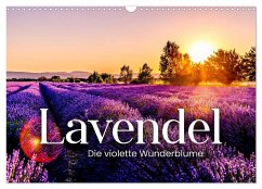 Lavendel - Die violette Wunderblume (Wandkalender 2026 DIN A3 quer), CALVENDO Monatskalender