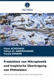 Produktion von Mikroplastik und trophische Übertragung von Phthalaten Produktion von Mikroplastik und trophische Übertragung von Phthalaten