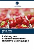 Leistung von Erdbeersorten unter Himalaya-Bedingungen Leistung von Erdbeersorten unter Himalaya-Bedingungen