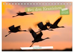 Cover Bei den Kranichen (Tischkalender 2026 DIN A5 quer), CALVENDO Monatskalender
