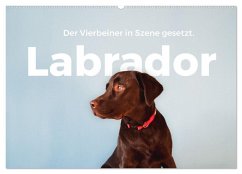 Labrador - Der Vierbeiner in Szene gesetzt. (Wandkalender 2026 DIN A2 quer), CALVENDO Monatskalender Labrador - Der Vierbeiner in Szene gesetzt. (Wandkalender 2026 DIN A2 quer), CALVENDO Monatskalender