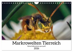 Makrowelten Tierreich (Wandkalender 2026 DIN A4 quer), CALVENDO Monatskalender
