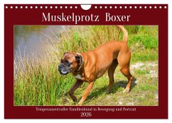 Cover Muskelprotz Boxer (Wandkalender 2026 DIN A4 quer), CALVENDO Monatskalender