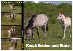 Cover Mutterliebe - Konik Fohlen und Stute (Wandkalender 2026 DIN A4 quer), CALVENDO Monatskalender