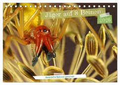 Cover Jäger auf acht Beinen (Tischkalender 2026 DIN A5 quer), CALVENDO Monatskalender
