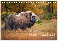 Cover Die letzten Moschusochsen Europas (Tischkalender 2026 DIN A5 quer), CALVENDO Monatskalender