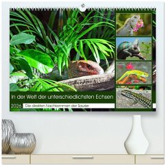 Cover In der Welt der unterschiedlichsten Echsen (hochwertiger Premium Wandkalender 2026 DIN A2 quer), Kunstdruck in Hochglanz