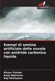Esempi di semina artificiale delle nuvole con anidride carbonica liquida Esempi di semina artificiale delle nuvole con anidride carbonica liquida