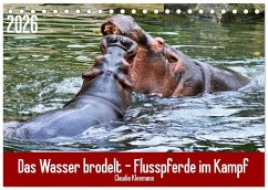 Cover Das Wasser brodelt - Flusspferde im Kampf (Tischkalender 2026 DIN A5 quer), CALVENDO Monatskalender