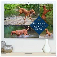 Faszination Magyar Vizsla am See (hochwertiger Premium Wandkalender 2026 DIN A2 quer), Kunstdruck in Hochglanz
