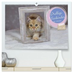 Drollige Tierkinder Mit Sprüchen (hochwertiger Premium Wandkalender 2026 DIN A2 quer), Kunstdruck in Hochglanz