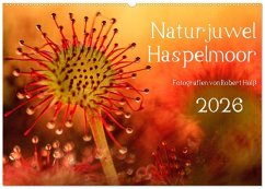 Naturjuwel Haspelmoor (Wandkalender 2026 DIN A2 quer), CALVENDO Monatskalender Naturjuwel Haspelmoor (Wandkalender 2026 DIN A2 quer), CALVENDO Monatskalender