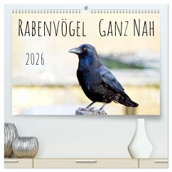 Rabenvögel - ganz nah (hochwertiger Premium Wandkalender 2026 DIN A2 quer), Kunstdruck in Hochglanz