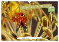 Cover Jäger auf acht Beinen (Wandkalender 2026 DIN A3 quer), CALVENDO Monatskalender