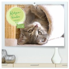Katzenkinder - zauberhafte Wesen (hochwertiger Premium Wandkalender 2026 DIN A2 quer), Kunstdruck in Hochglanz Katzenkinder - zauberhafte Wesen (hochwertiger Premium Wandkalender 2026 DIN A2 quer), Kunstdruck in Hochglanz