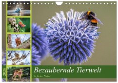 Bezaubernde Tierwelt in freier Natur (Wandkalender 2026 DIN A4 quer), CALVENDO Monatskalender Bezaubernde Tierwelt in freier Natur (Wandkalender 2026 DIN A4 quer), CALVENDO Monatskalender
