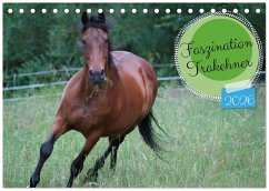 Faszination Trakehner (Tischkalender 2026 DIN A5 quer), CALVENDO Monatskalender Faszination Trakehner (Tischkalender 2026 DIN A5 quer), CALVENDO Monatskalender