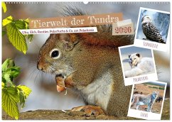 Cover Tierwelt der Tundra (Wandkalender 2026 DIN A2 quer), CALVENDO Monatskalender