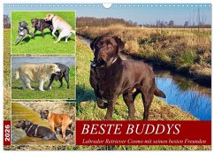 Cover Beste Buddys (Wandkalender 2026 DIN A3 quer), CALVENDO Monatskalender