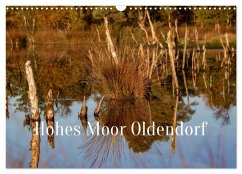 Hohes Moor Oldendorf (Wandkalender 2026 DIN A3 quer), CALVENDO Monatskalender