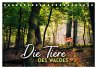 Die Tiere des Waldes (Tischkalender... - Bild 1