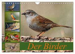 Der Birder (Wandkalender 2026 DIN A4 quer), CALVENDO Monatskalender Cover Der Birder (Wandkalender 2026 DIN A4 quer), CALVENDO Monatskalender