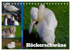 Faszination Höckerschwäne (Tischkalender 2026 DIN A5 quer), CALVENDO Monatskalender Faszination Höckerschwäne (Tischkalender 2026 DIN A5 quer), CALVENDO Monatskalender