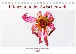 Pflanzen in der Zwischenwelt (Tischkalender 2026 DIN A5 quer), CALVENDO Monatskalender Pflanzen in der Zwischenwelt (Tischkalender 2026 DIN A5 quer), CALVENDO Monatskalender