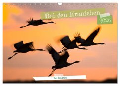 Cover Bei den Kranichen (Wandkalender 2026 DIN A3 quer), CALVENDO Monatskalender