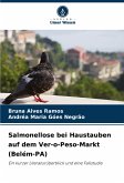 Salmonellose bei Haustauben auf dem Ver-o-Peso-Markt (Belém-PA) Salmonellose bei Haustauben auf dem Ver-o-Peso-Markt (Belém-PA)
