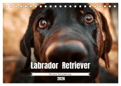 Cover Verzauberung Labrador Retriever 2026 (Tischkalender 2026 DIN A5 quer), CALVENDO Monatskalender